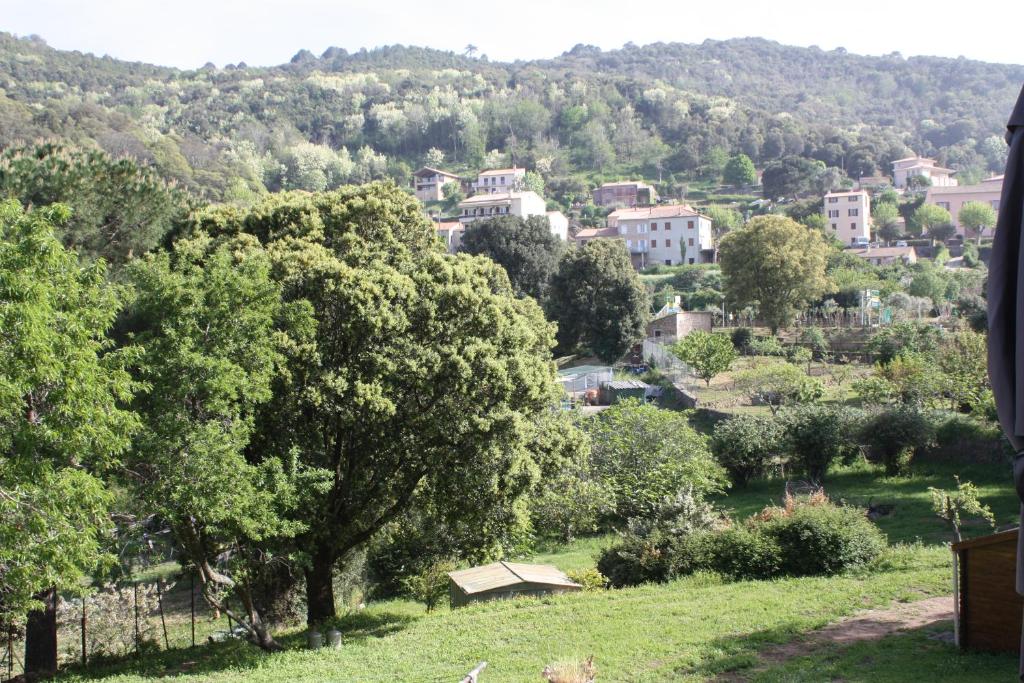 皮亚纳A CARDICCIA Loc saisonnières PIANA的从树木茂密的山丘上欣赏到城镇美景