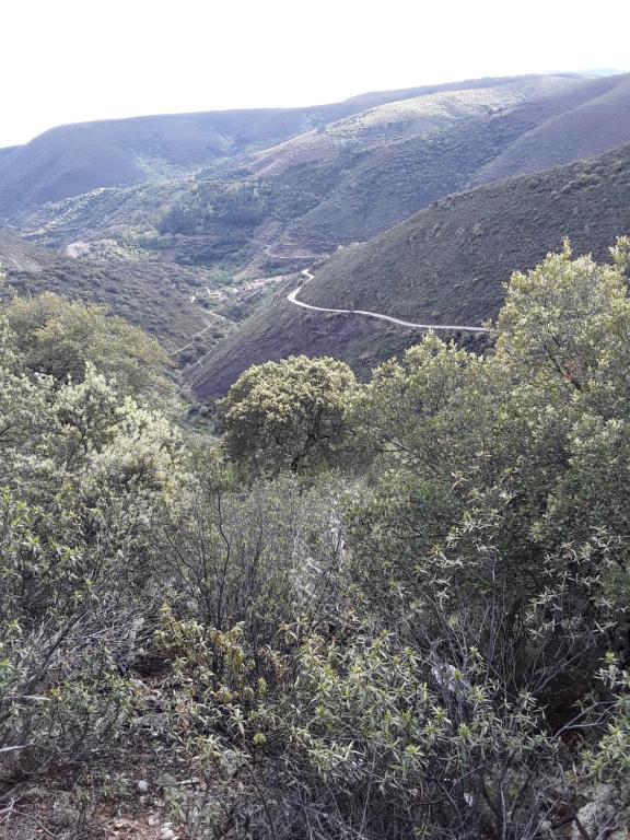 San Miguel de ValeroCasa Rural Costanilla的享有树木和道路的山景