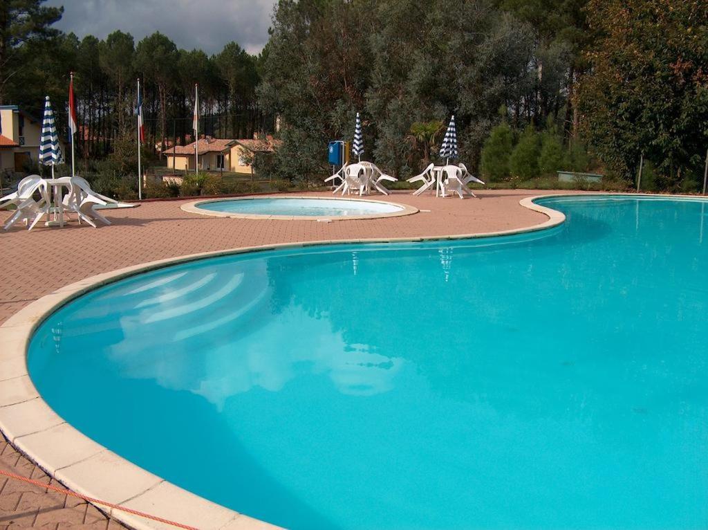 波讷地区圣朱利安Maison ocelandes的游泳池周围拥有3只白色动物