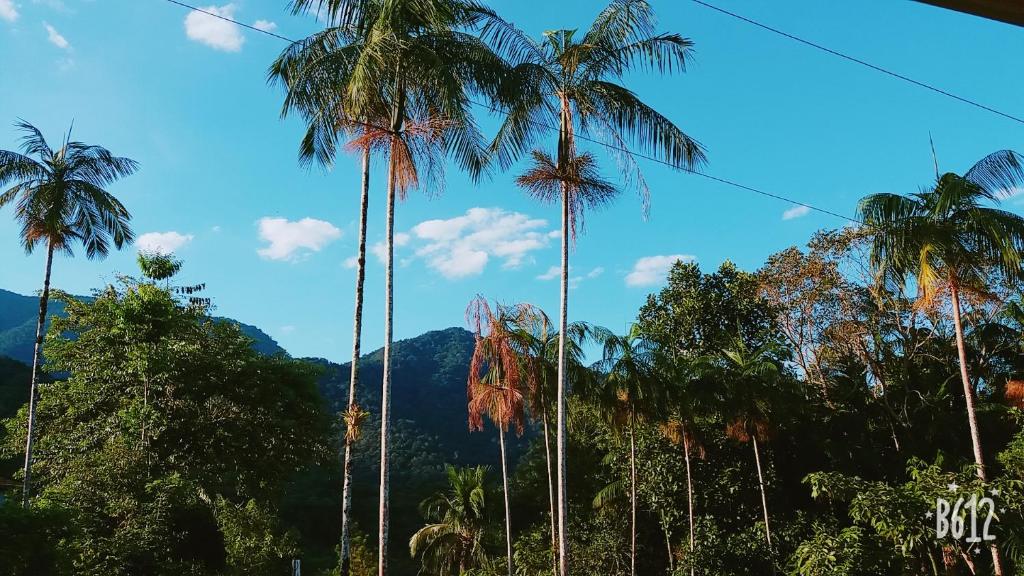 山林小屋周边自然景观