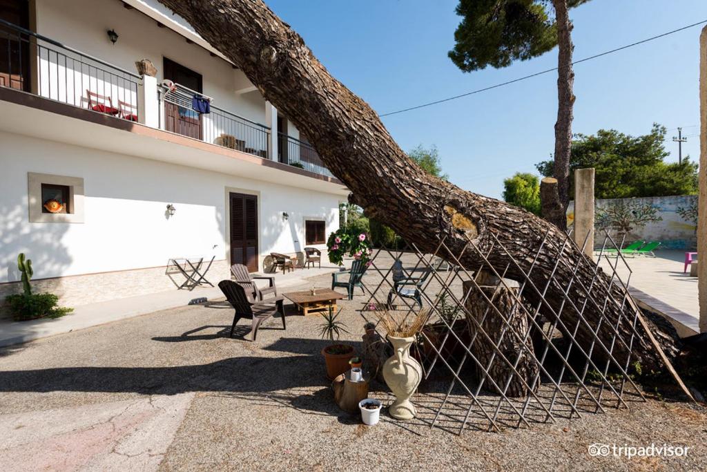 锡拉库扎皮娅维拉住宿加早餐旅馆的树从建筑物旁边的栅栏上倾斜