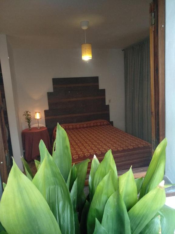 阿达莱斯El Patio Andalú的一间卧室,配有一张床和一束绿色植物