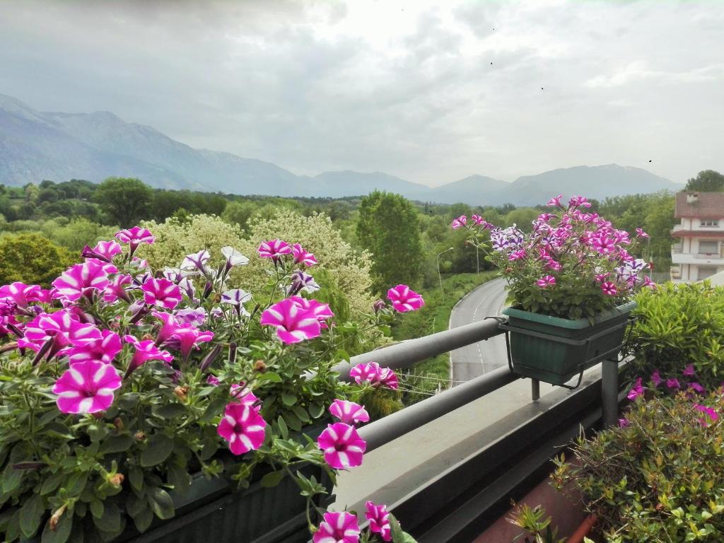 Pratola PelignaAttico D'Andrea的阳台以粉红色的鲜花和山脉为背景