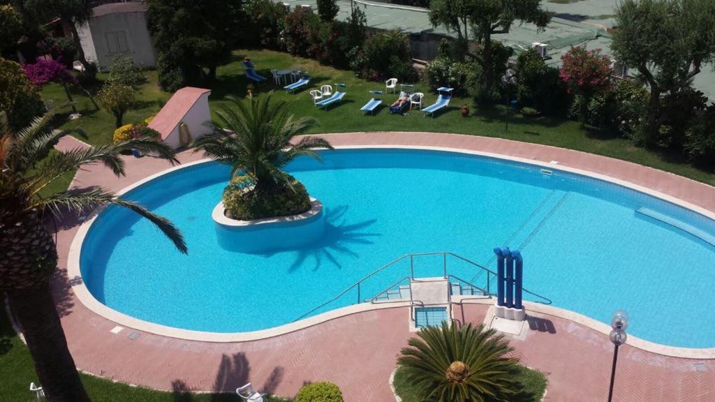 伊斯基亚Santa Caterina的享有棕榈树大型游泳池的顶部景致