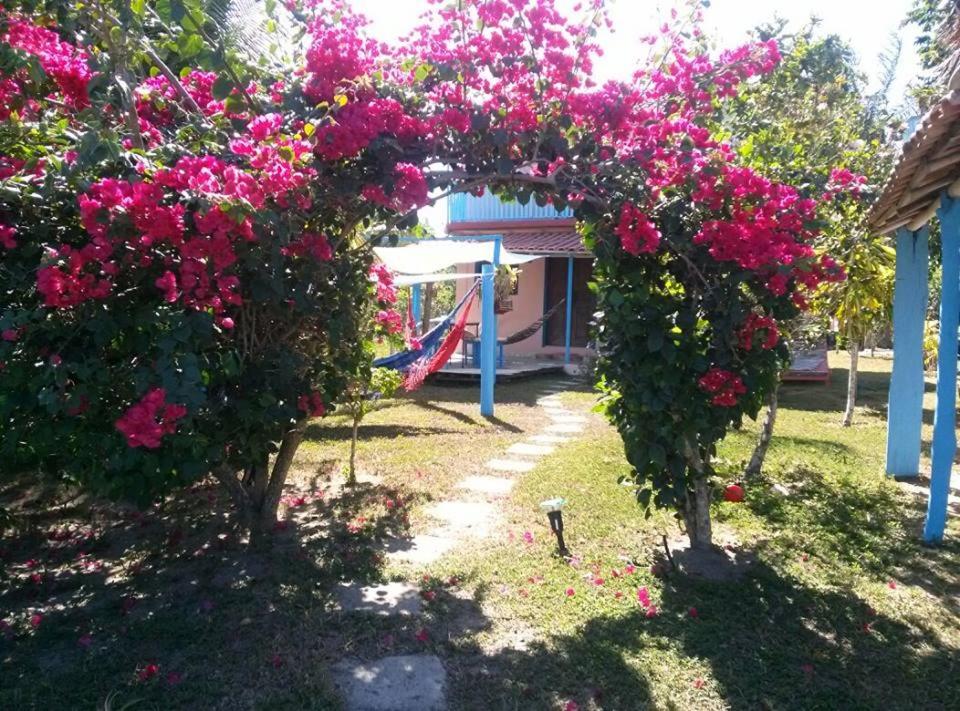 库穆鲁沙蒂巴Casa das Falésias Cumuruxatiba的两棵树上种有粉红色花卉的花园,秋千