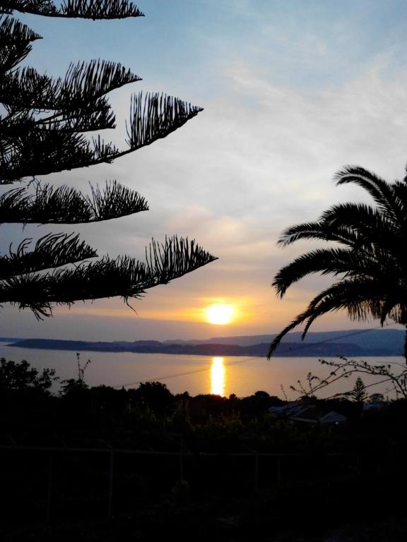 拉瑟Mediterranean Studios的棕榈树的日落