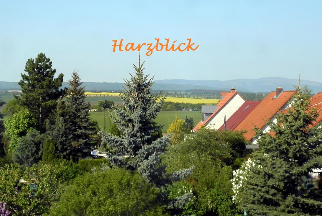 哈尔伯施塔特Ferienhaus "Harzblick"的享有树木和房屋的城镇美景