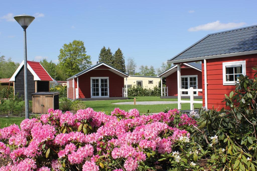 宁斯佩特De Bijsselse Enk, Noors chalet 3的一座花园,花园内种有粉红色的花卉,还有一座红色的房子