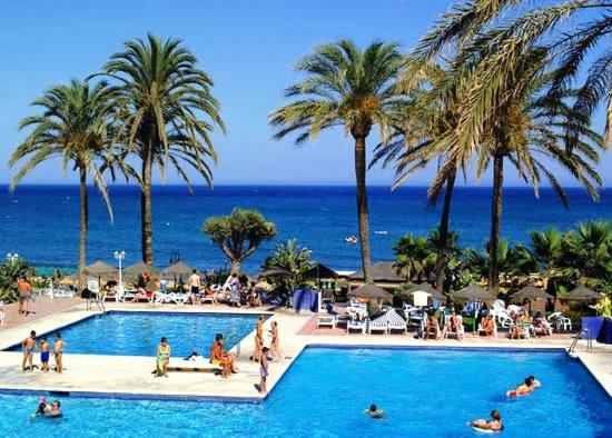 多列毛利诺斯Apto a pie de playa con vistas increíbles!的棕榈树和海洋的度假游泳池