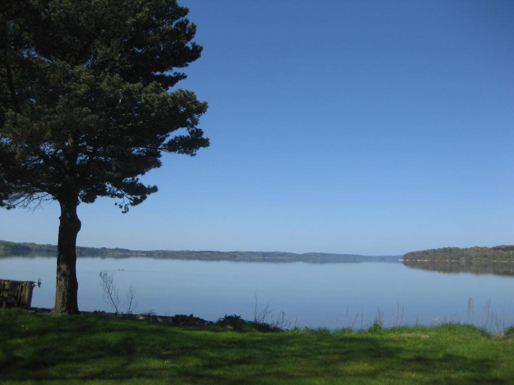 斯坎讷堡Ved Vandet的坐在湖边的树