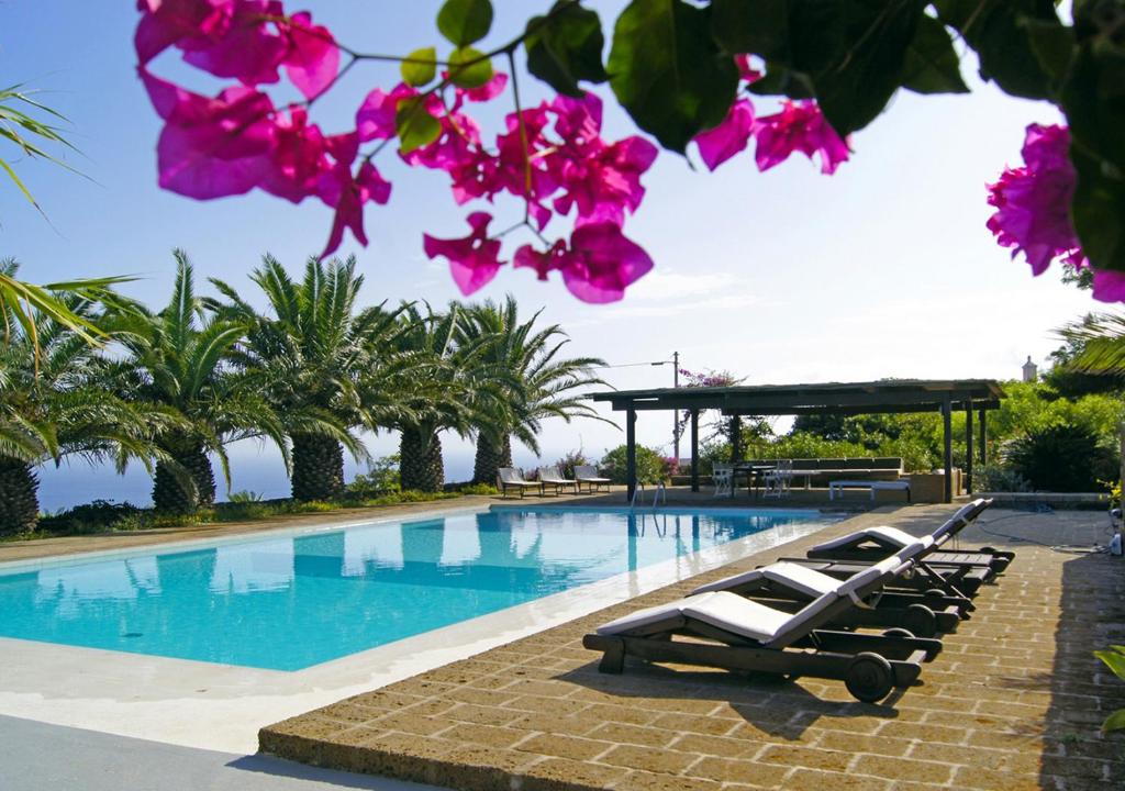 潘泰莱里亚Residenza Khaddiuggia的一个带躺椅和粉红色鲜花的游泳池