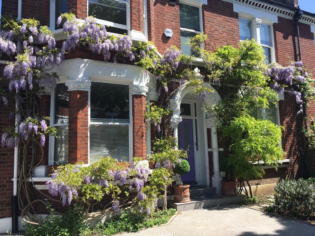 伦敦丁香门的前门有紫色紫藤的房子