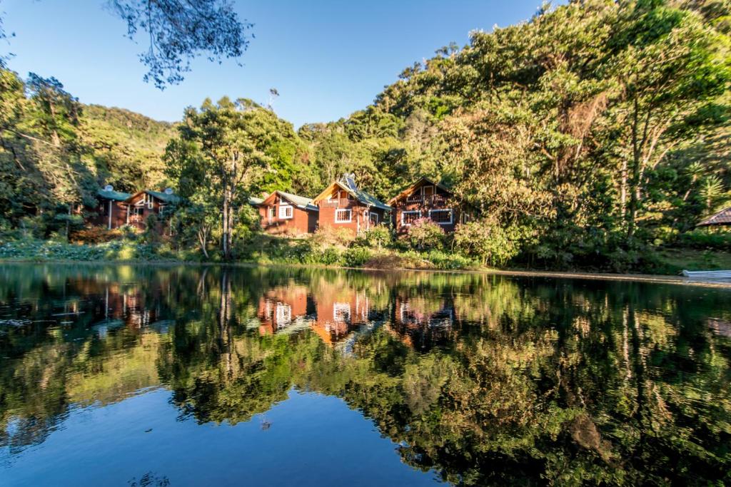 圣赫拉多德多塔梦幻森林小屋酒店的湖水中房屋的反射