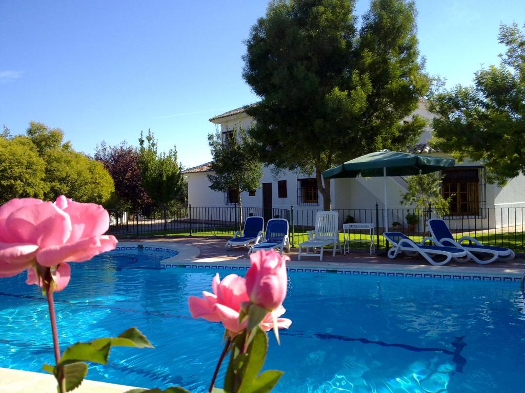普里埃格·德·科尔多巴Casa de la Higuera的前方带椅子和粉红色鲜花的游泳池