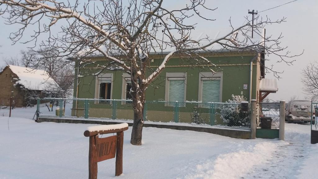 DégNicoláj Vendégház és Tanya的雪中树的绿色房子