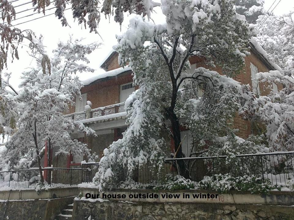 卡科佩特里亚Metaxas Mansion的房子前的雪覆盖的树
