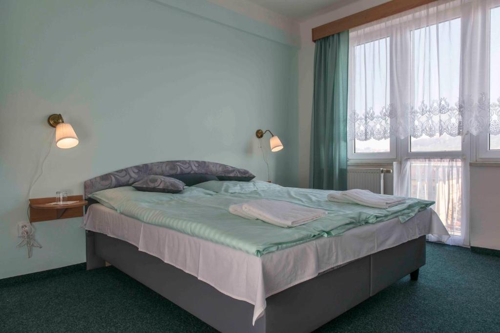 普日布拉姆Hotel Belvedere Příbram的一间卧室设有一张床和一个大窗户