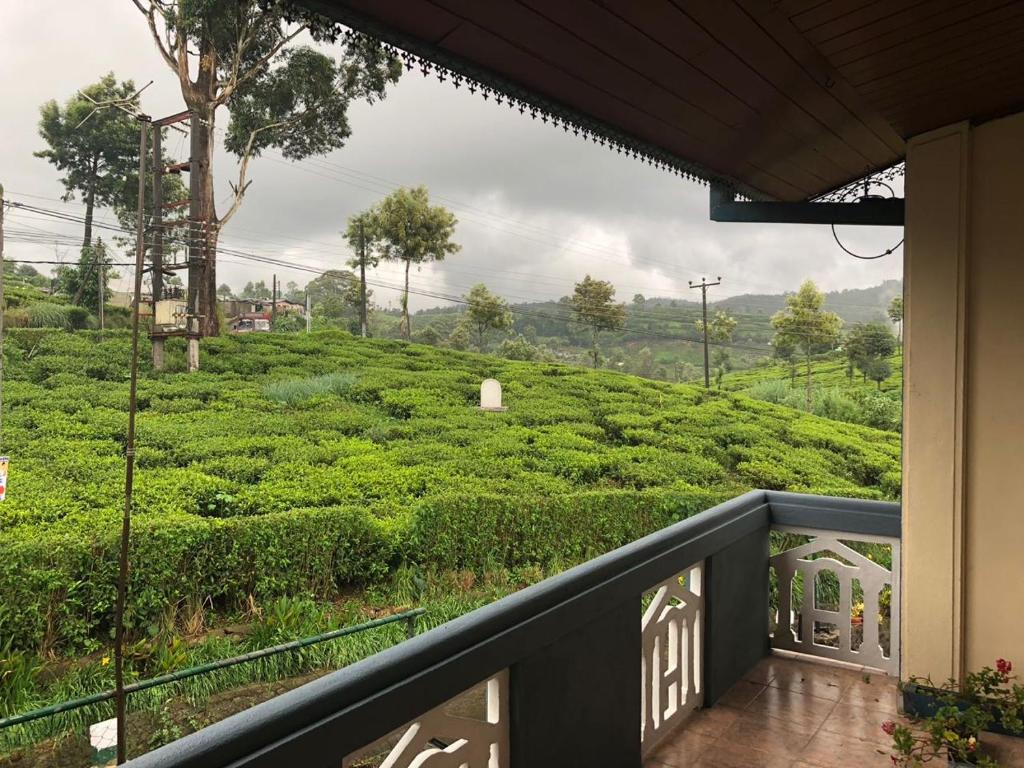 努沃勒埃利耶佩德罗景观民宿的阳台享有茶园的景致。