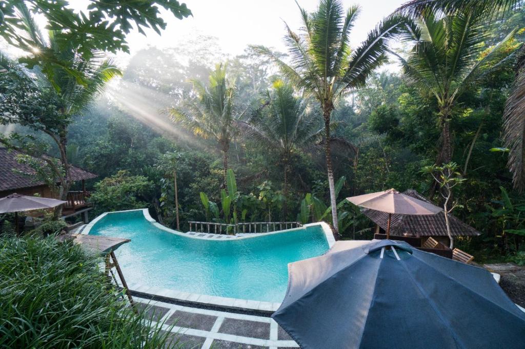 Song Broek Bali内部或周边的泳池
