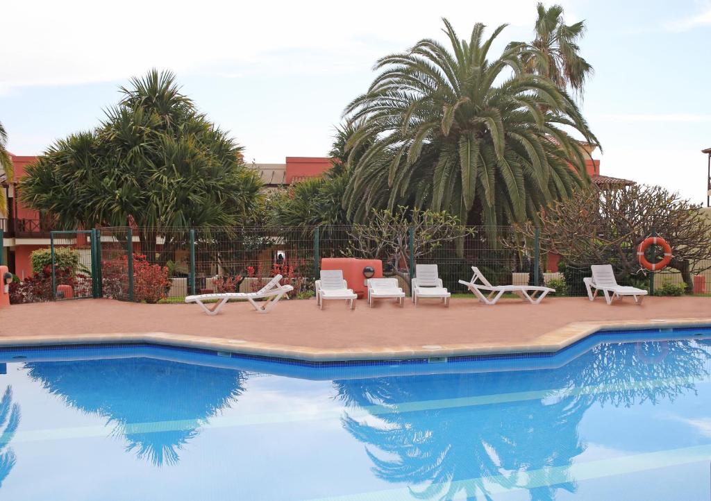 洛思坎加约斯Los Balconcitos 51的一个带椅子的游泳池,棕榈树