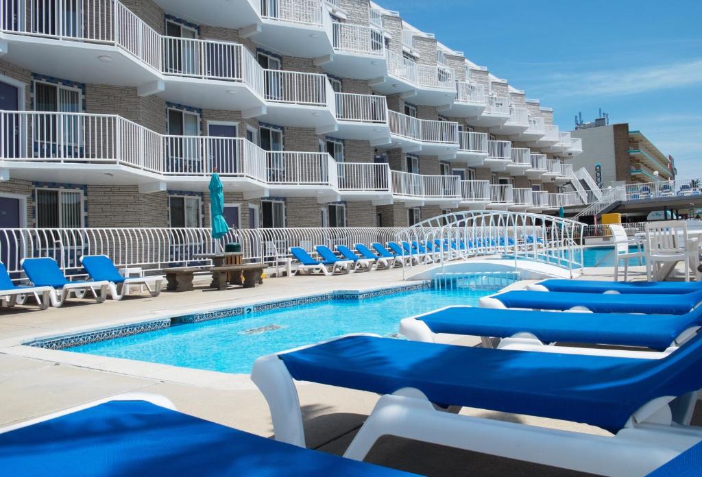 威尔伍德克拉斯特夏利马尔度假酒店的一个带蓝色椅子的游泳池和一间酒店