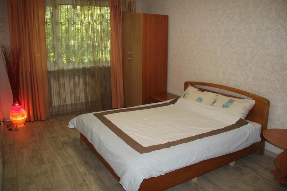 哈尔科夫Современная 1-комнатная квартира的一间卧室设有一张床和一个窗口