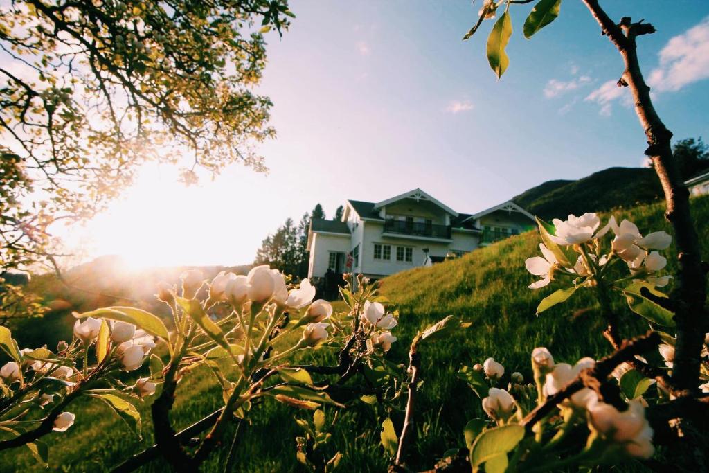 Isfjorden格耶迪斯图里斯特森蒂尔度假屋的山丘上,前方有鲜花的房子