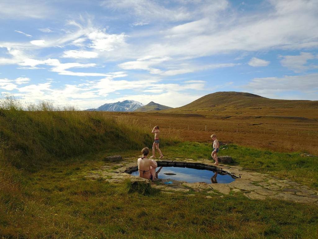 Laugarfell劳佳尔费尔酒店及温泉的三人站在田野的一小池水里