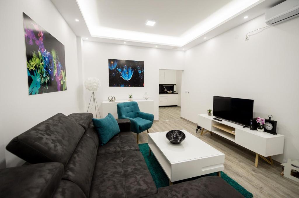 阿然德洛维克CENTAR Lux的带沙发和电视的客厅