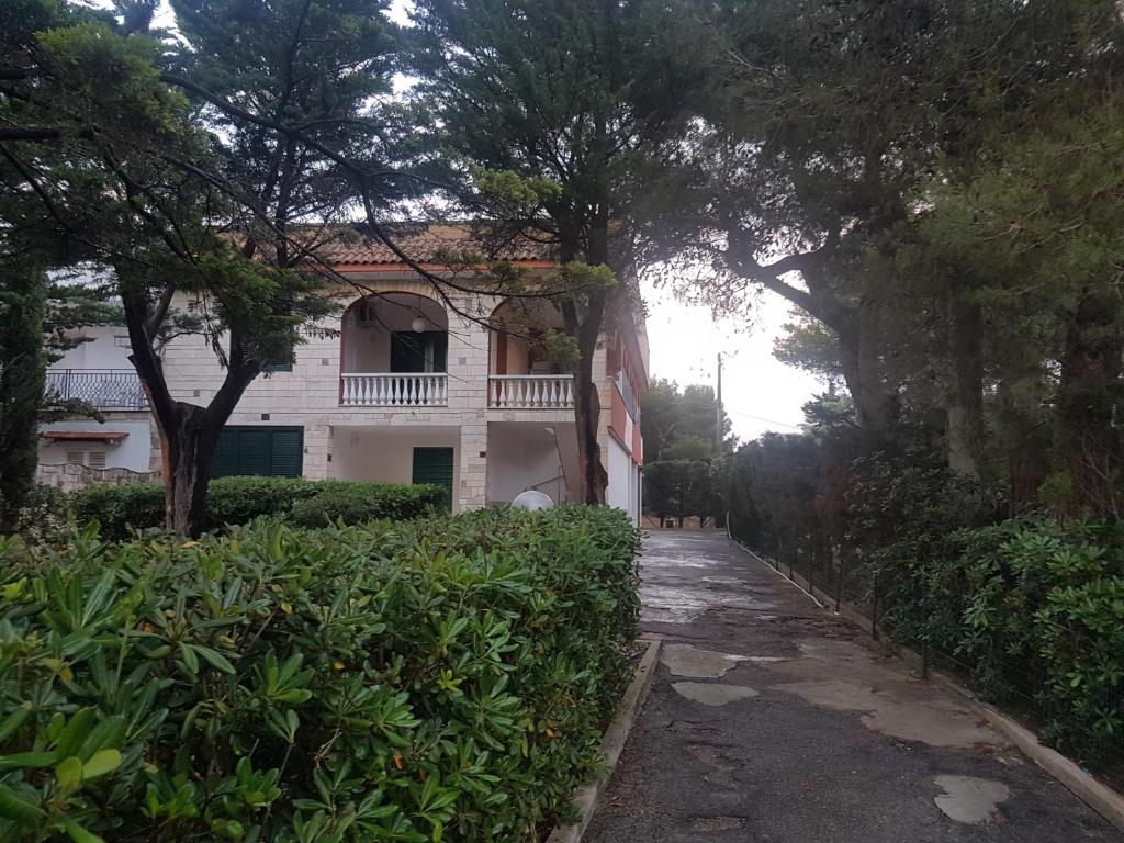 圣伊西多罗Villa Letizia Sea View in Sant'Isidoro的前面树木林立的街道上的房子