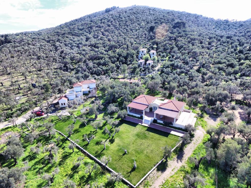 派拉马Gera's Olive Grove - Elaionas Lesvou的山丘上房屋的空中景致