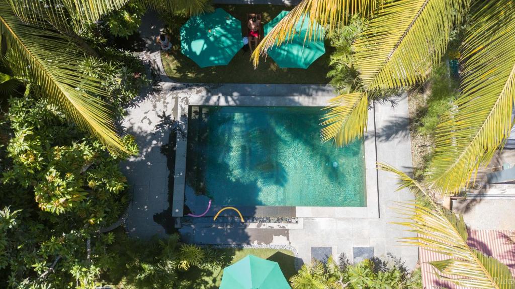 龙目岛库塔派普斯旅舍的享有棕榈树游泳池的顶部景致