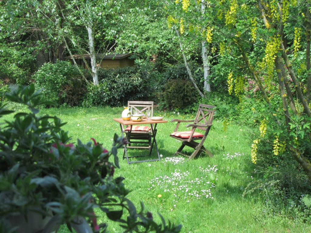 布兰肯海姆EIFEL Gästewohnung的草丛中的一张桌子和两把椅子