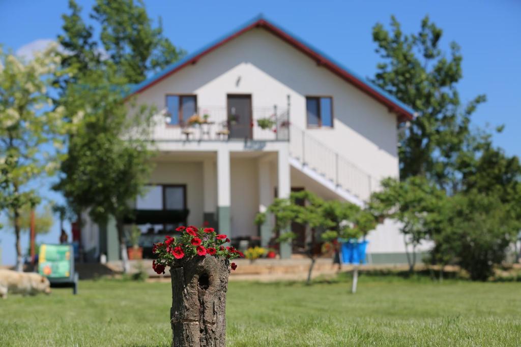 茹里洛夫卡Pensiunea Palaghia的树桩上放着花盆的房子