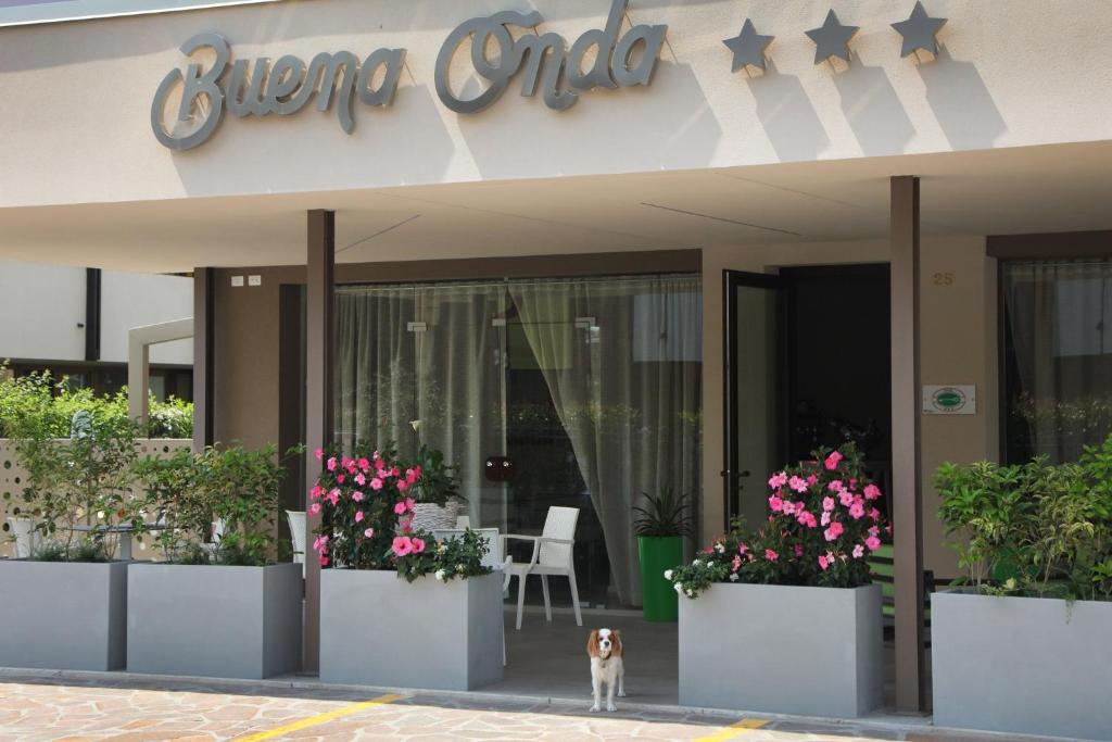 佩斯基耶拉德加达Hotel Buena Onda的一只狗站在一座花丛前