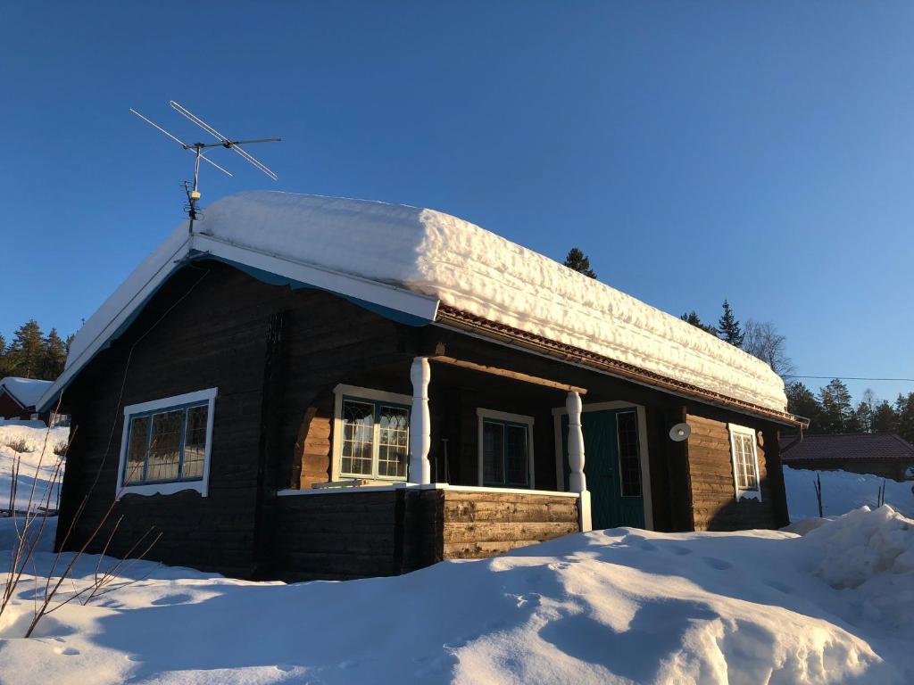 莫拉Vasa Ski Lodge的小木屋,屋顶上积雪