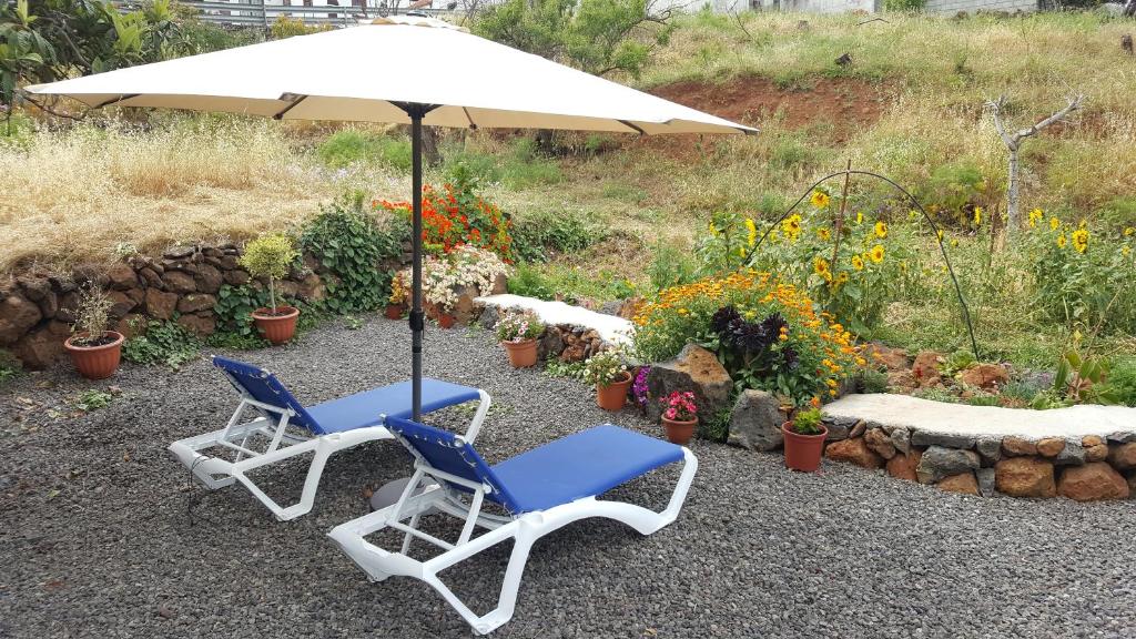 蓬塔戈尔达Casa roko的两把椅子和一把伞,长凳和鲜花
