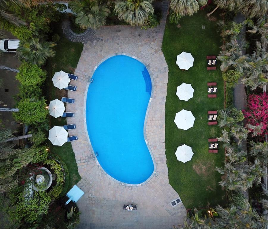 瓦拉纳西Hotel Clarks Varanasi Limited的花园游泳池的顶部景色