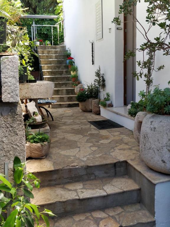 Adriatic Apartments外面的花园