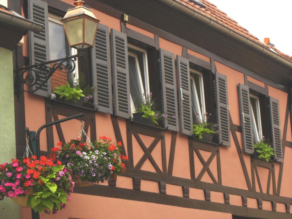 坎特赞Au Coeur d'Alsace Chambres d'hôtes的一座建筑,里面装有花盒,窗户装有百叶窗