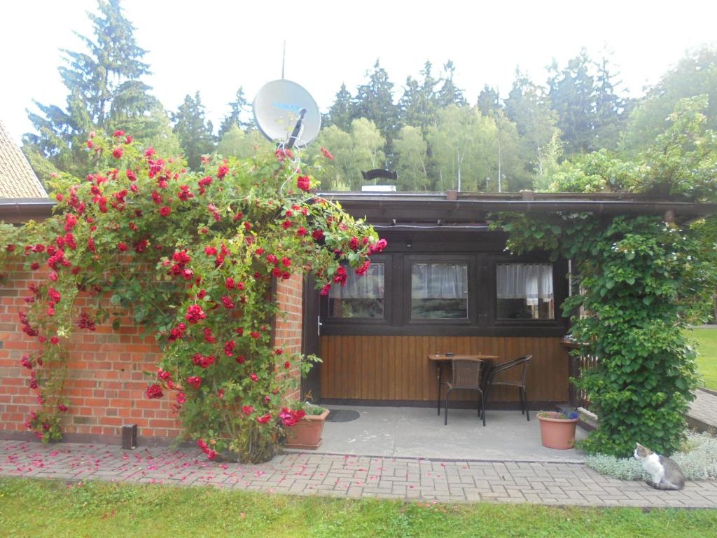 施尔奇Bergfreiheit的砖砌建筑中种有红色花的庭院