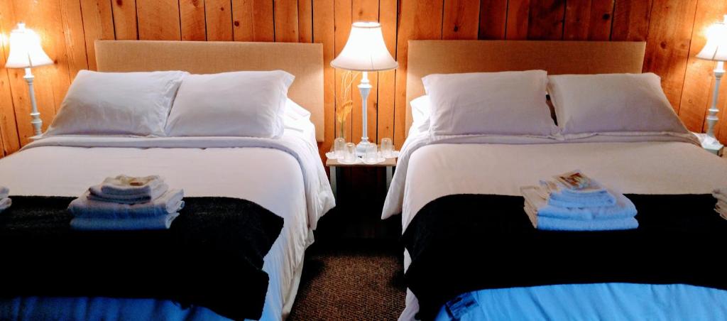 派恩希尔松山阿姆斯酒店的两张位于酒店客房的床,配有毛巾