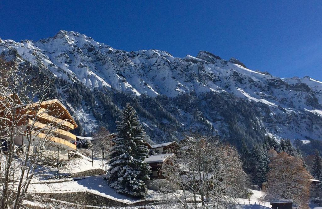 翁根Holiday flat #1, Chalet Aberot, Wengen, Switzerland的山里积雪覆盖着房子和松树