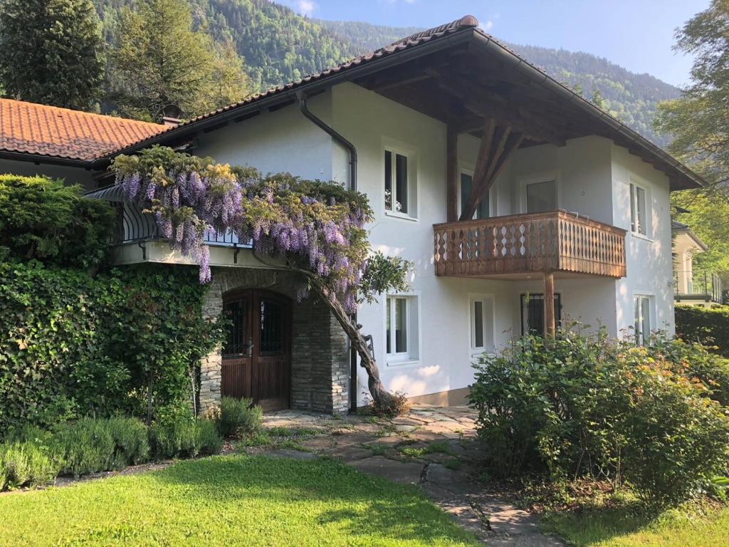 赛特朵夫Ferienhaus am See的一座房子,阳台上种着紫色的鲜花