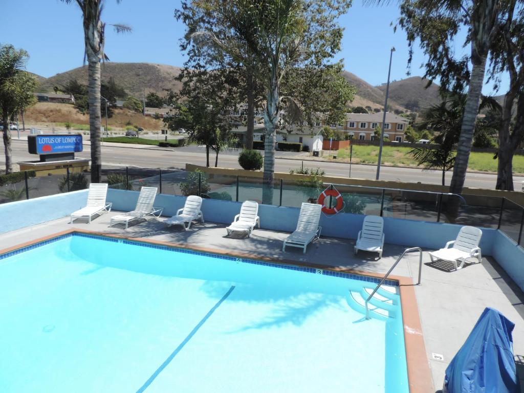 隆波克隆波克莲花 - 绝佳待客旅馆的度假村内带躺椅的游泳池
