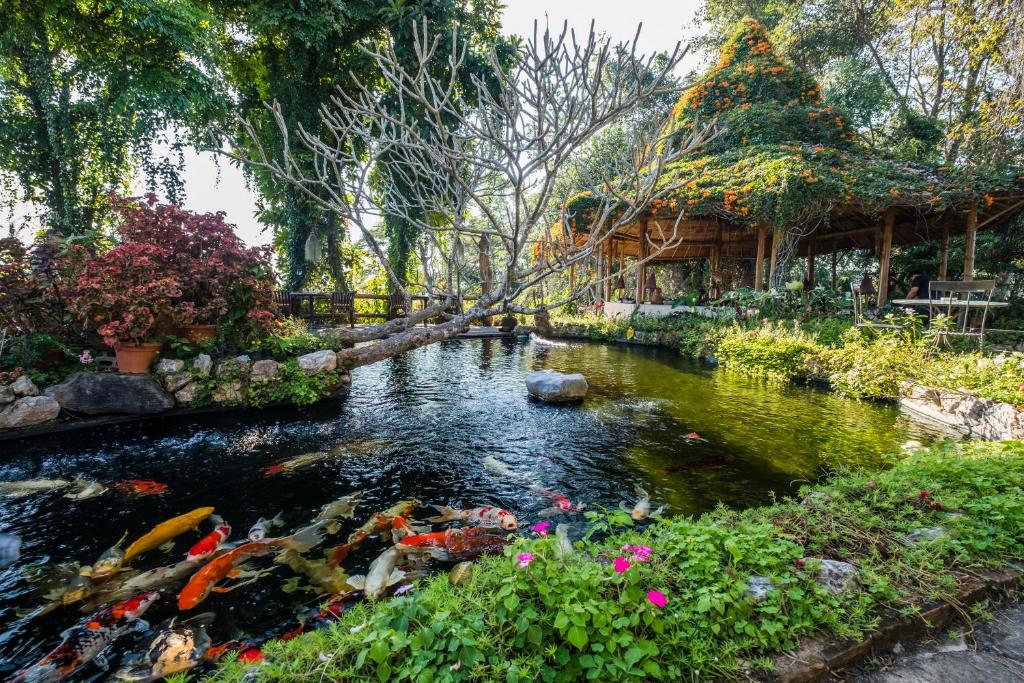 湄斯乐奈富柴塞山度假酒店的花园里的一个池塘,里面放着风筝