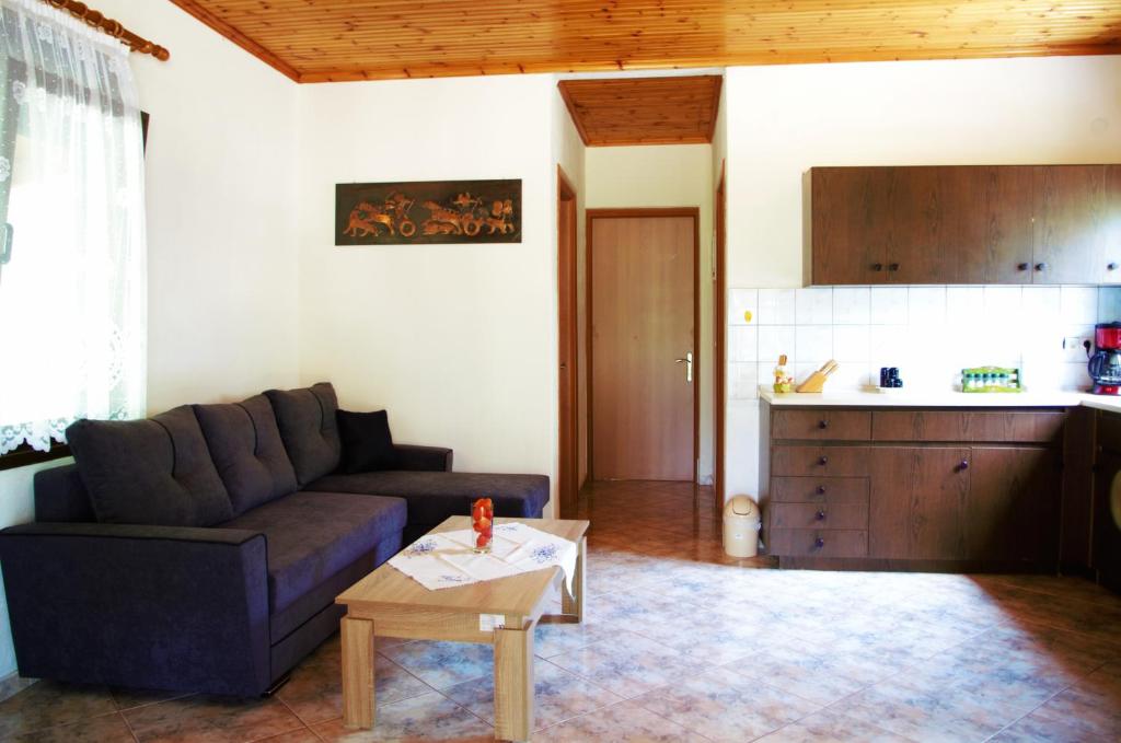 斯卡拉索提罗斯Ktima Elia的客厅配有沙发和桌子