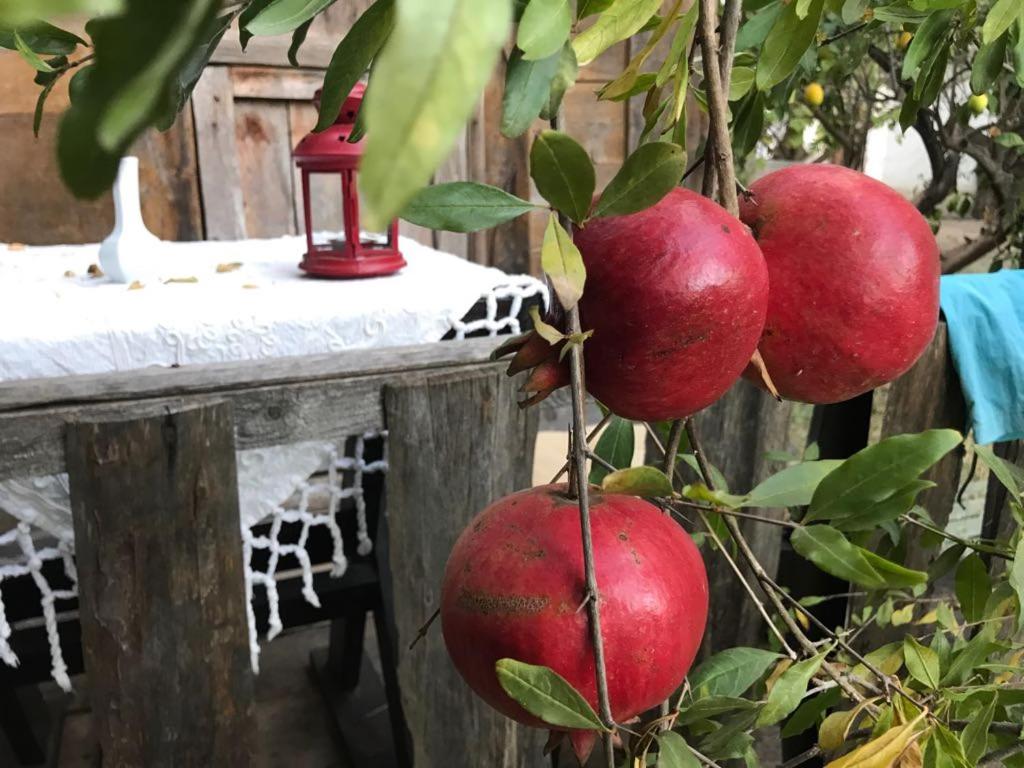 契拉勒欢乐之家宾馆的挂在树上的一束苹果