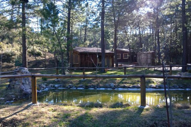里奥帕尔Cabaña en pleno parque natural del río mundo的树林中的小屋,设有池塘和围栏