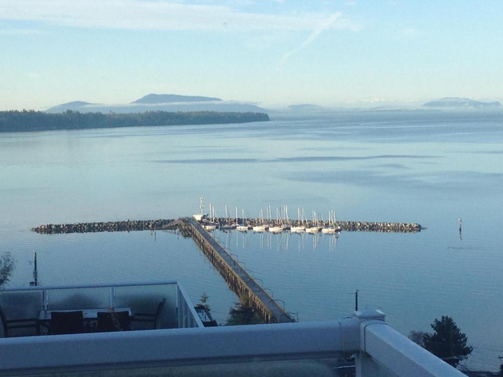 白石唐娜住宿加早餐旅馆的享有码头和水中船只的景色